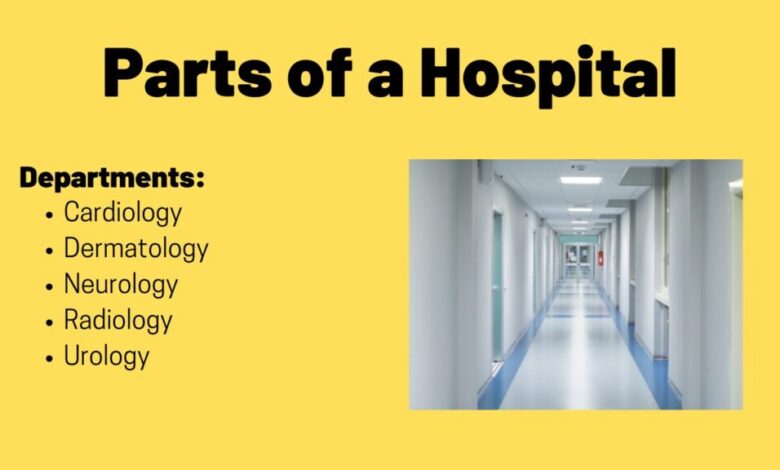 Vocabulary about Hospitals – TED IELTS