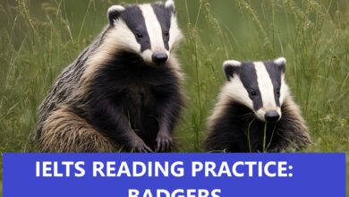 New Reading Exercise for You (July 2024)