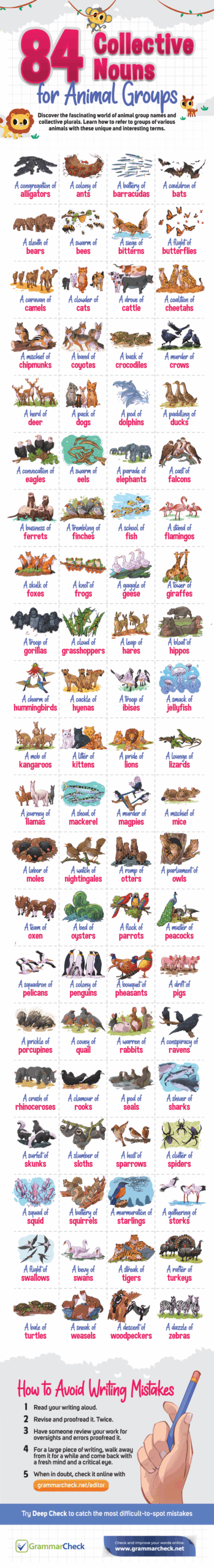 84 Collective Nouns for Animal Groups (Infographic) 84 Collective Nouns for Animal Groups (Infographic)