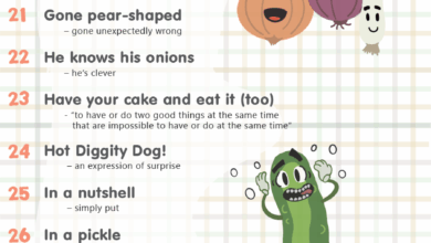 44 Idioms about Food (Infographic)
