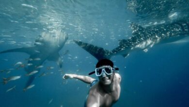 English Inversion #1: Why? When? How?