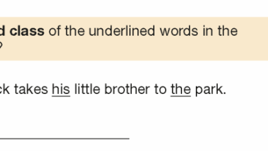 Problematic question on possessive ‘his’ in the 2024 Year 6 Grammar, Punctuation and Spelling paper