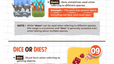 Fish or Fishes? 16 Tricky Cases of Uncommon Plurals (Infographic)